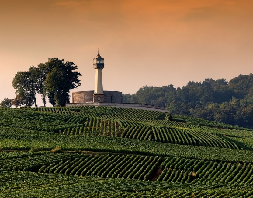 fau automne