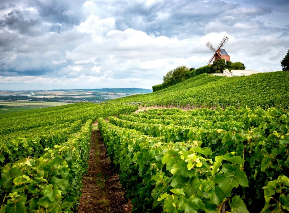 moulin de verzenay champagne